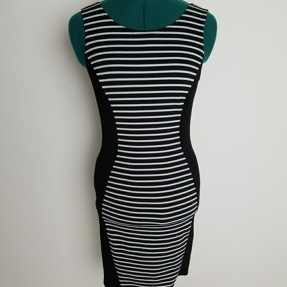 Arbor rose black and white striped dress small